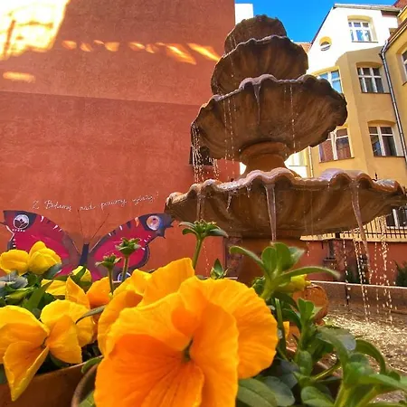 Hotel Bohema Boutique & 5*