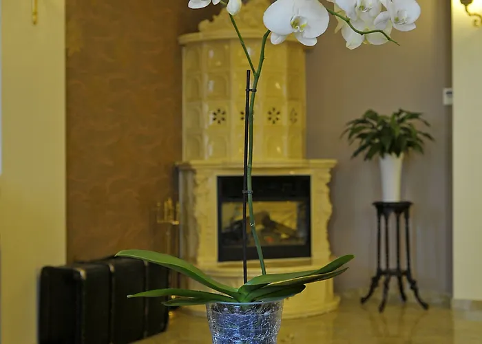 Bohema Boutique & Hotel Bydgoszcz